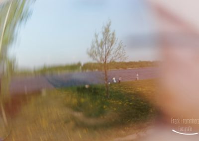 Fernblick